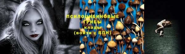 mdpv Покров