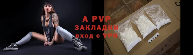 спайс Покачи