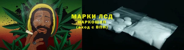 спайс Покачи
