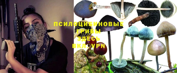 mdpv Пестово