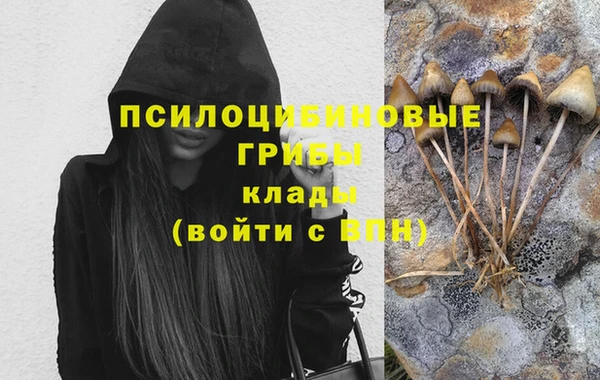 mdpv Покров